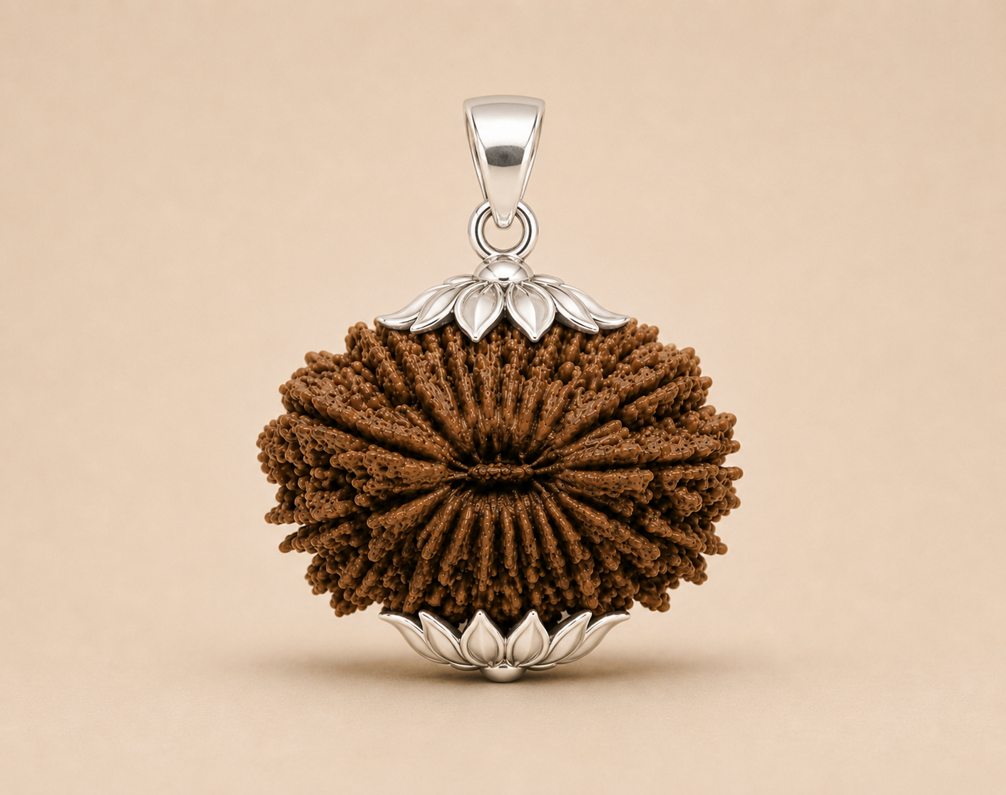 20 Mukhi Rudraksha (Nepal Origin)